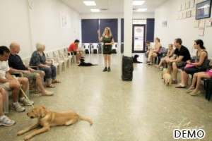Group Dog Training